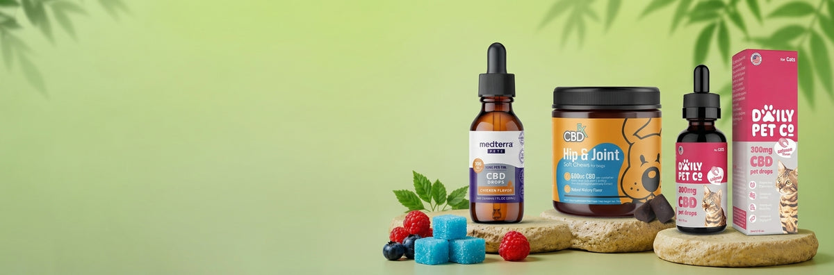 Medterra Pet CBD Drops in chicken flavor, CBDfx Hip & Joint Soft Chews for dogs and Daily Pet Co CBD Pet Drops for cats on natural stone pedestals